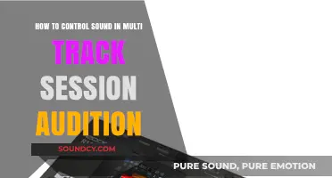Mastering Multi-Track Sessions: Effective Sound Control Techniques in Audition