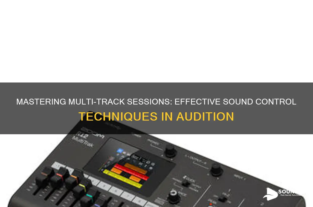 how to control sound in multi track session audition