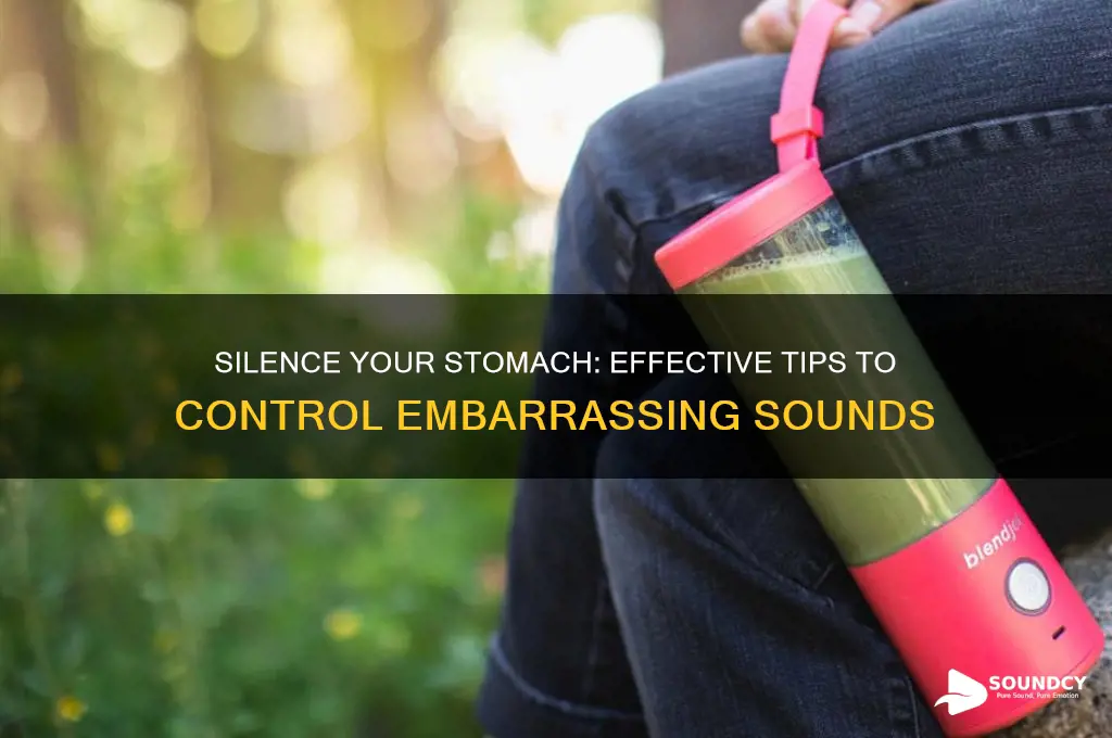 how to control stomach sounds