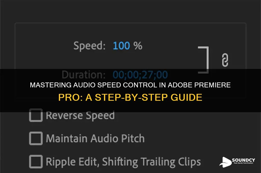 how to controll speed of sound on adobe premiere