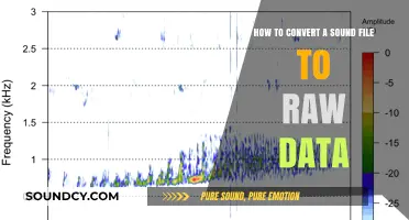 Convert Sound Files to Raw Data: A Step-by-Step Guide