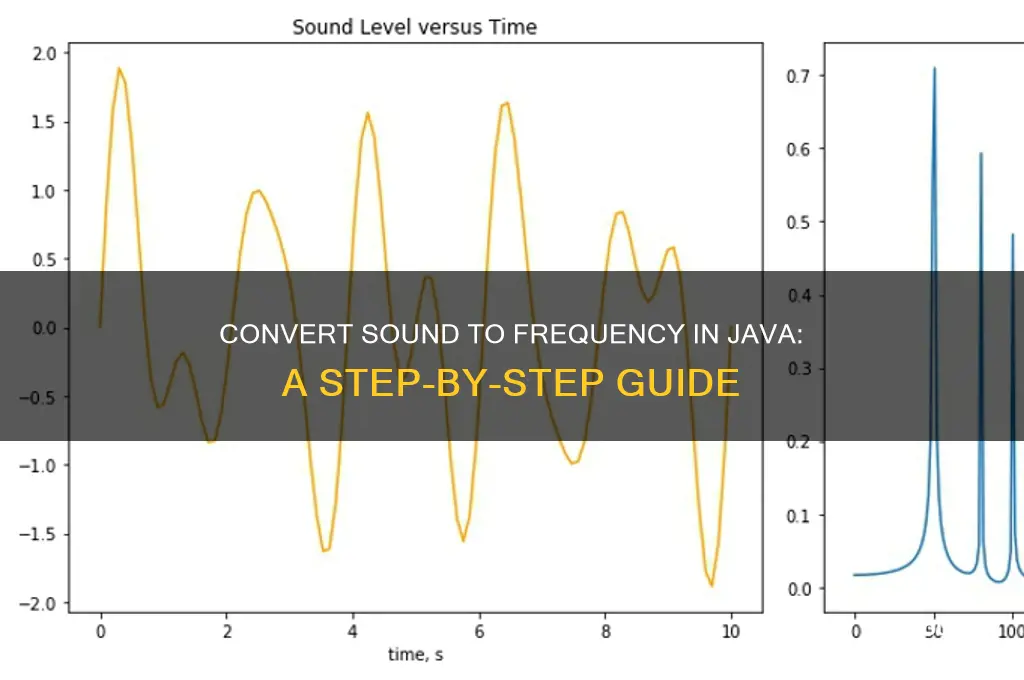 how to convert a sound to a frequency java
