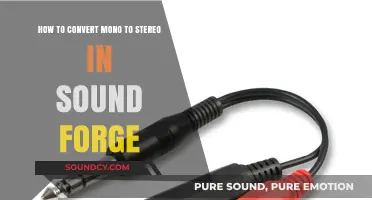 Convert Mono to Stereo in Sound Forge: A Step-by-Step Guide