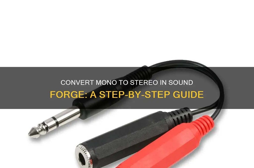 how to convert mono to stereo in sound forge