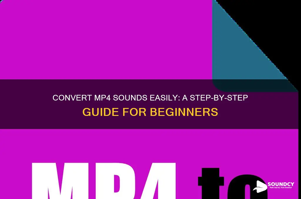 how to convert mp4 sounds