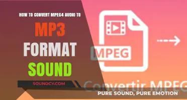 Convert MPEG4 Audio to MP3: A Quick and Easy Guide