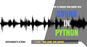 Transforming Raw Binary Data into Audible Sound Using Python