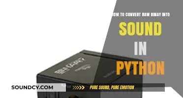 Convert Raw Binary to Sound in Python: A Step-by-Step Guide