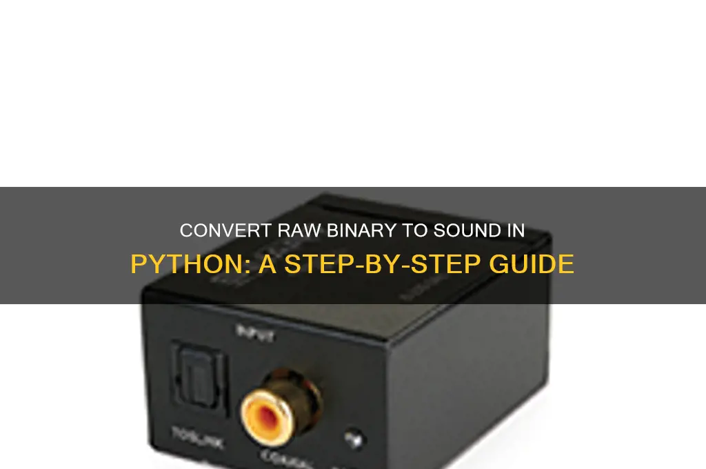 how to convert raw binay into sound in python