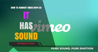 Convert Vimeo MP4 with Sound: A Quick and Easy Guide