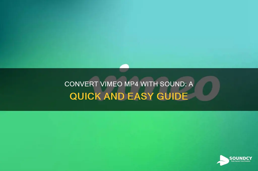 how to convert vimeo mp4 so it has sound