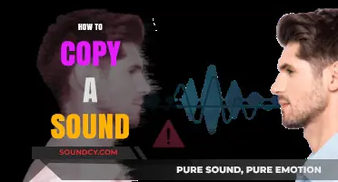 Mastering Sound Duplication: Techniques to Perfectly Copy Any Audio