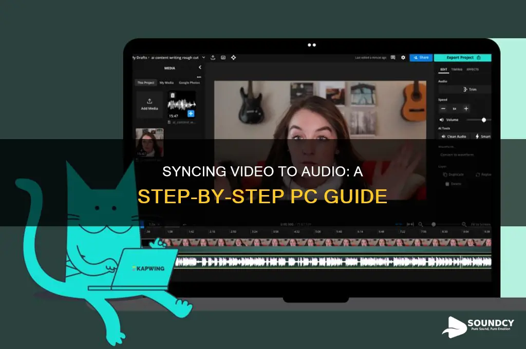 how to cornadate vido to sound on your pc