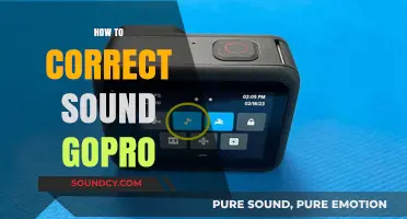 Mastering GoPro Audio: Essential Tips to Enhance and Correct Sound Quality