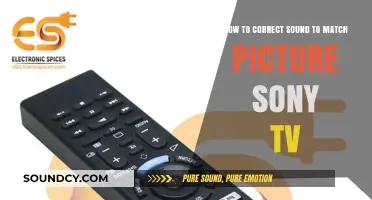 Syncing Sound and Picture: A Guide to Correcting Audio on Sony TVs