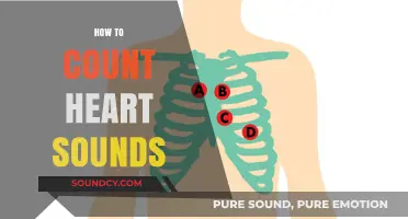 Mastering Heart Sound Counting: A Step-by-Step Guide for Accurate Auscultation