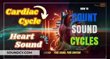 Mastering Sound Cycle Counting: Techniques and Tools for Accurate Analysis
