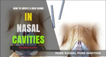 Mastering Nasal Resonance: Techniques to Create High Sounds in Cavities