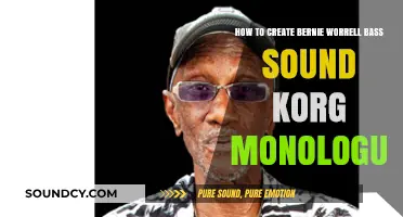 Master Bernie Worrell's Iconic Bass Sound Using Korg Monologue