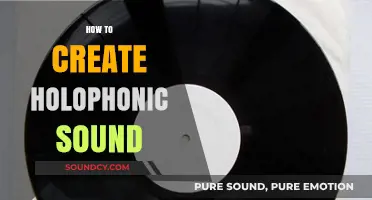 Mastering Holophonic Sound: Techniques for Immersive Audio Creation