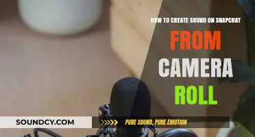 Add Music to Snapchat Stories: Using Camera Roll Sounds Easily