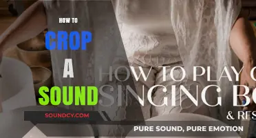 Mastering Audio Editing: A Step-by-Step Guide to Cropping Sound