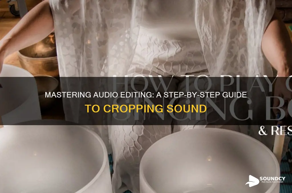 how to crop a sound