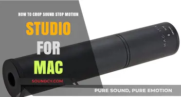 Cropping Sound in Stop Motion Studio for Mac: A Quick Guide