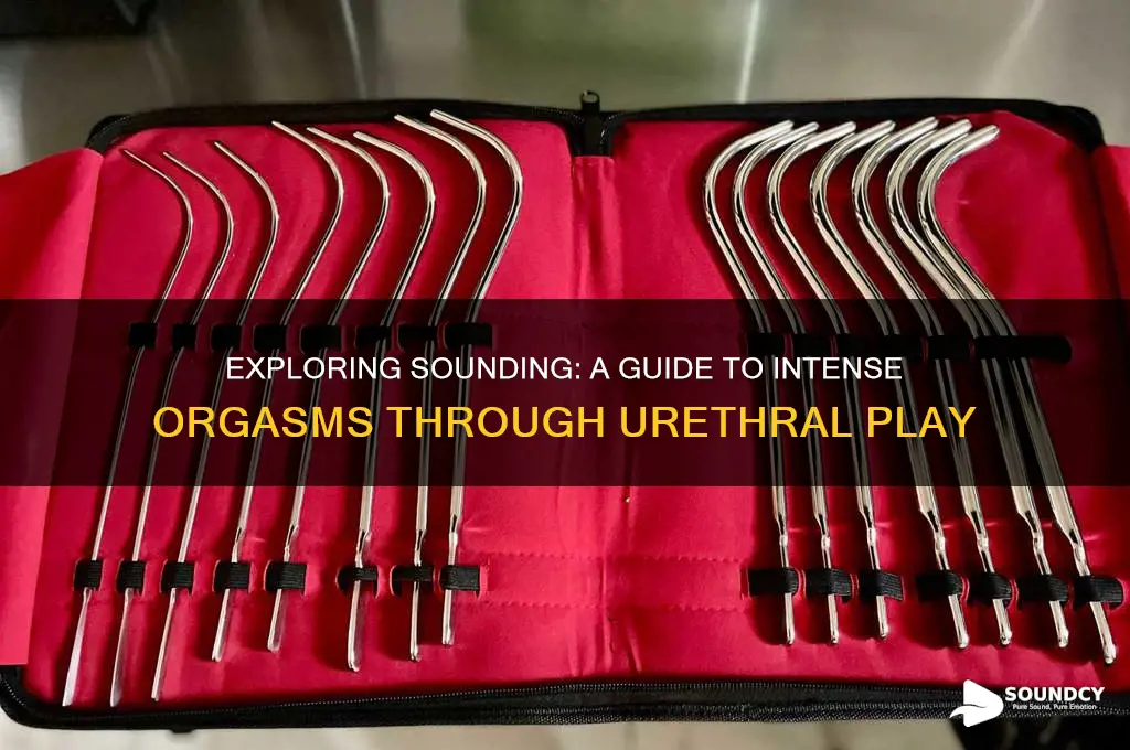 how to cum by sounding