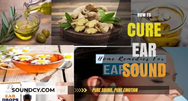 Effective Remedies to Silence Persistent Ear Sounds Naturally and Safely