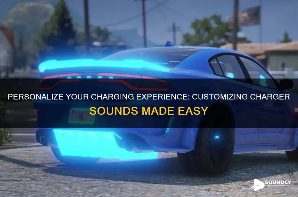 how to customize charger sound