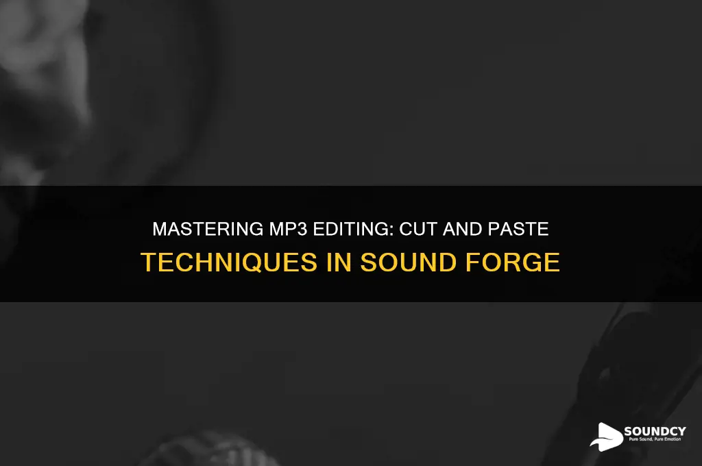 how to cut and paste mp3s in sound forge