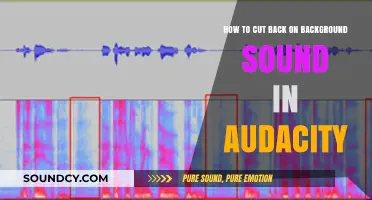 Effective Techniques to Reduce Background Noise in Audacity Audio Editing