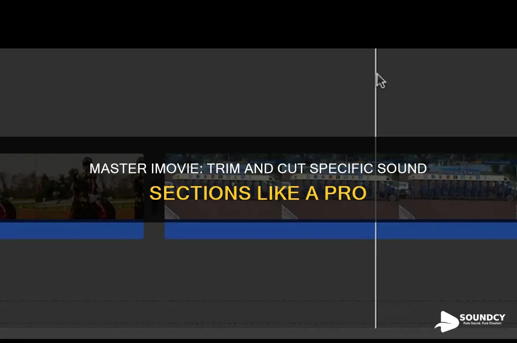 how to cut certain parts of sound in imovie