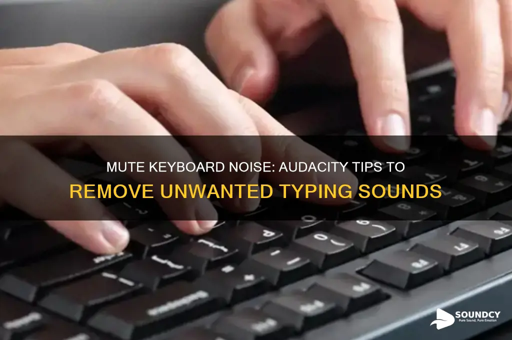 how to cut keyboard sound out of audio audacity