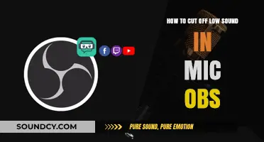 Effective Techniques to Eliminate Low-Frequency Noise in OBS Mic Recordings