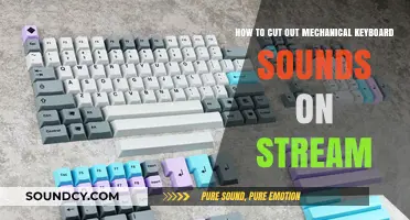 Silence Your Mechanical Keyboard: Tips to Reduce Stream Noise