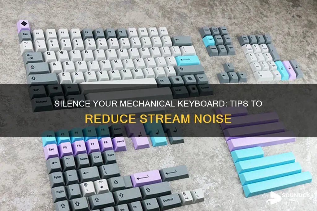 how to cut out mechanical keyboard sounds on stream