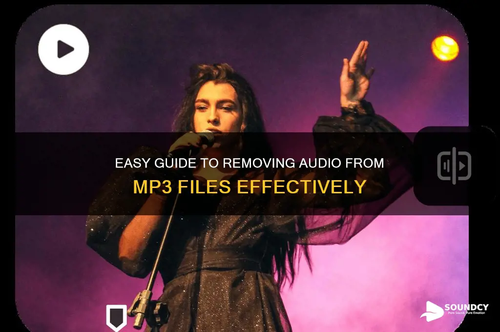 how to cut out the sound out of mp3
