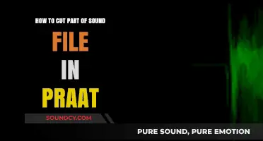 Mastering Praat: How to Cut Part of a Sound File Easily