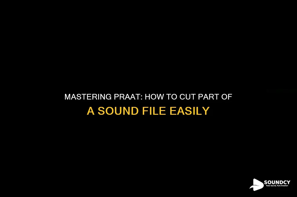 how to cut part of sound file in praat