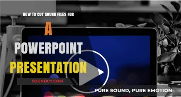 Mastering Audio Editing: Cutting Sound Files for PowerPoint Presentations