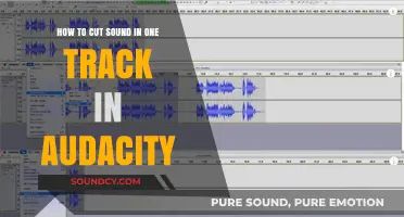 Mastering Audacity: Easy Steps to Cut Sound in One Track