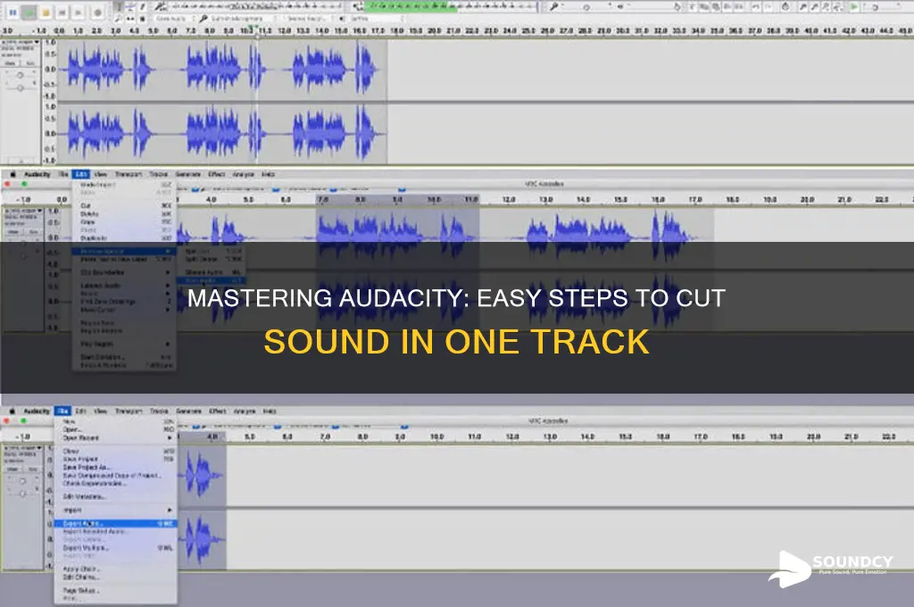 how to cut sound in one track in audacity