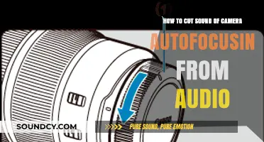 Effective Techniques to Remove Camera Autofocus Noise from Audio Recordings