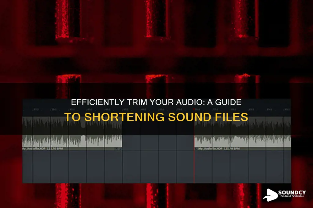 how to cut the length of a sound file