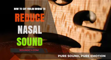 Fix Nasal Tone: Perfectly Cut Your Violin Bridge for Clear Sound