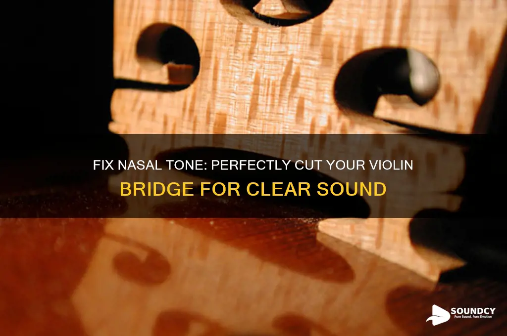 how to cut violin bridge to reduce nasal sound