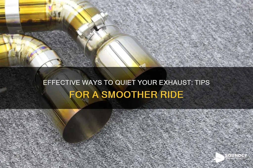 how to dampen exhaust sound
