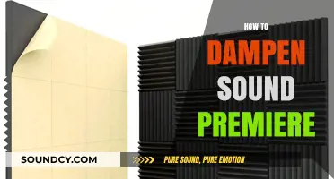Effective Techniques to Dampen Sound in Adobe Premiere Pro
